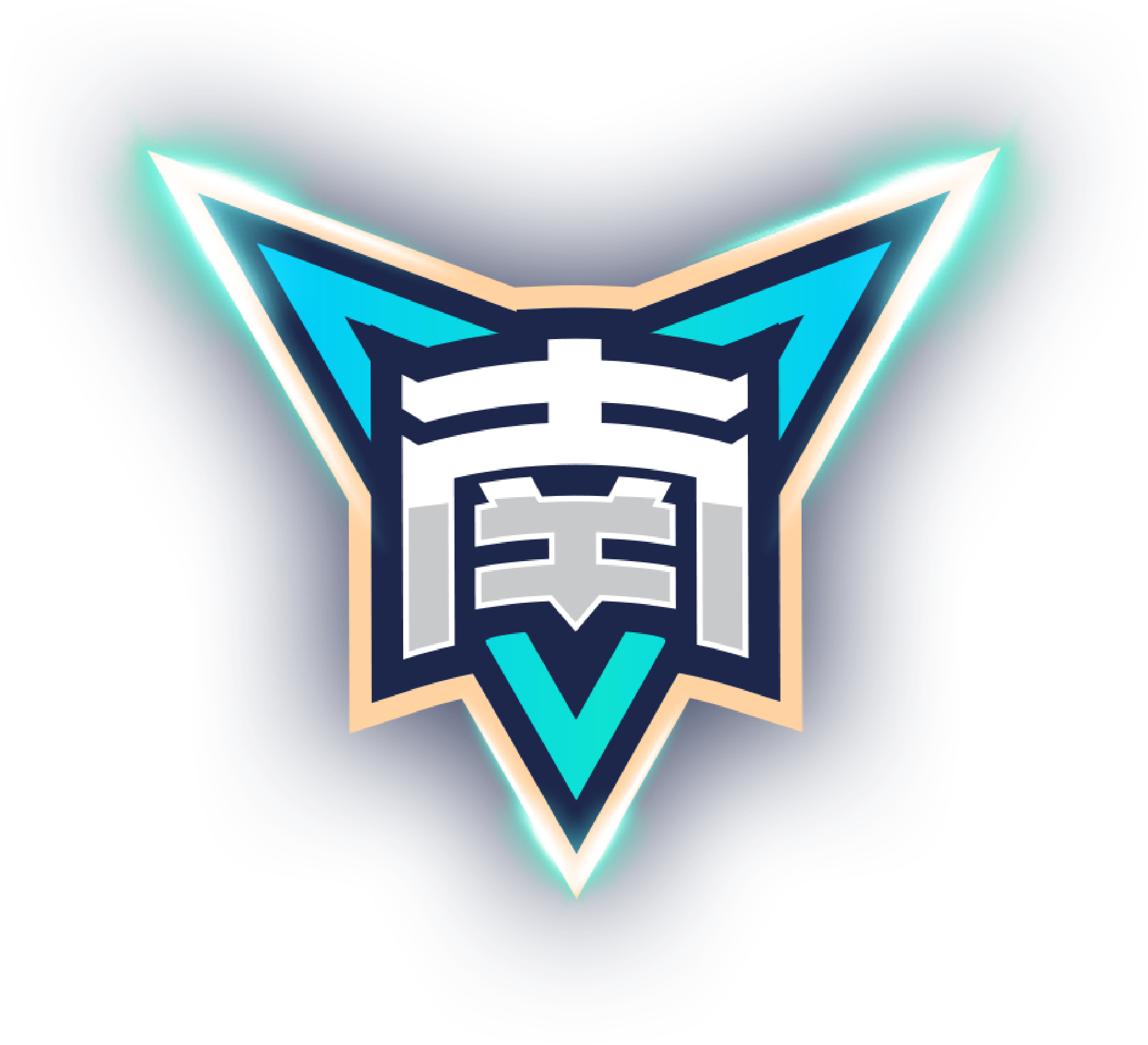亚特兰大老鹰
